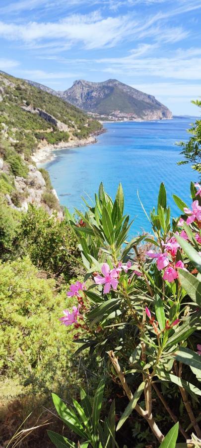 5 Min Front The Beach - Cala Luna House Cala Gonone Eksteriør bilde